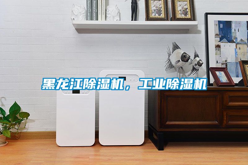黑龍江除濕機,工業(yè)除濕機